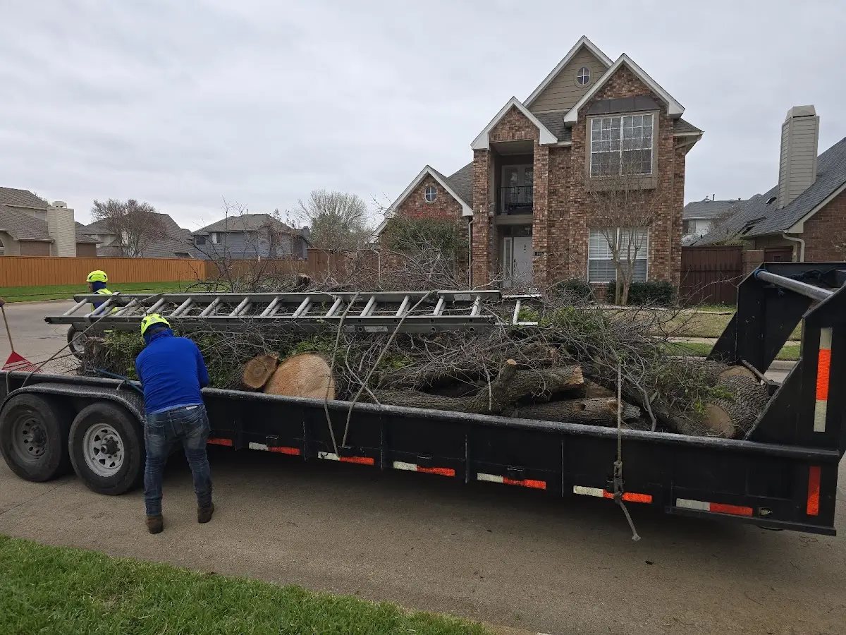 Expert Tree Fertilization with proper safety equipment in Dent